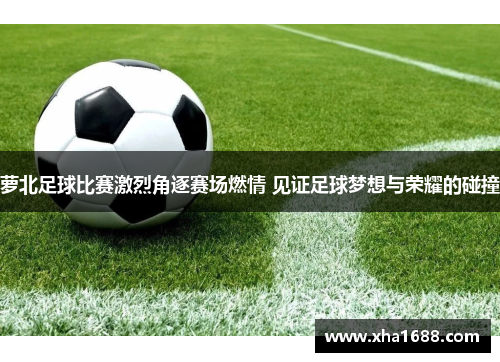 萝北足球比赛激烈角逐赛场燃情 见证足球梦想与荣耀的碰撞